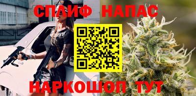 гашик Бузулук