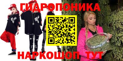 гашик Бузулук