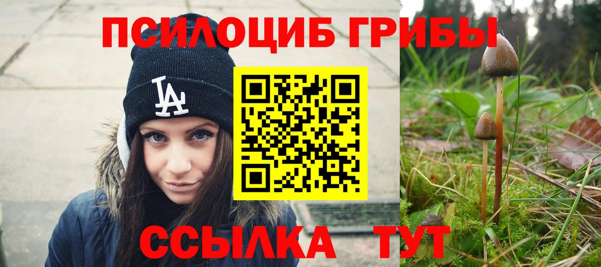 Галлюциногенные грибы ЛСД  Вход с VPN  Тихорецк  Псилоцибиновые грибы мицелий 